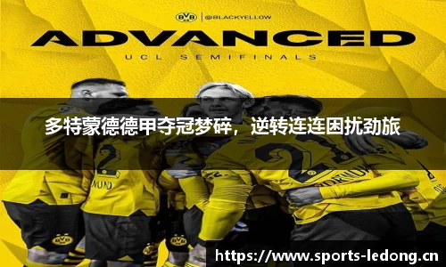 ld乐动体育