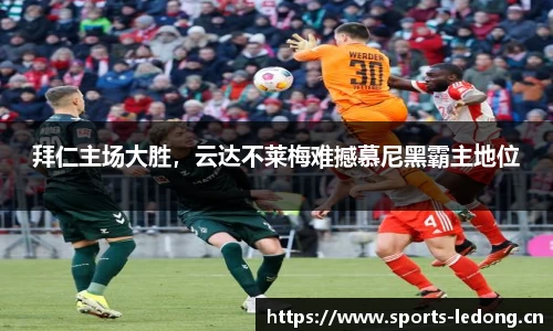 ld乐动体育