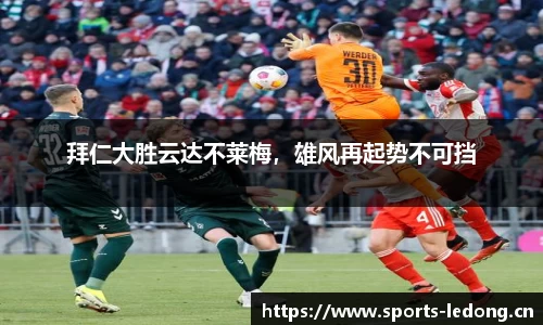 ld乐动体育