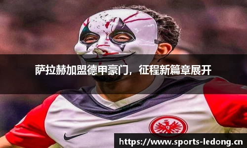 ld乐动体育