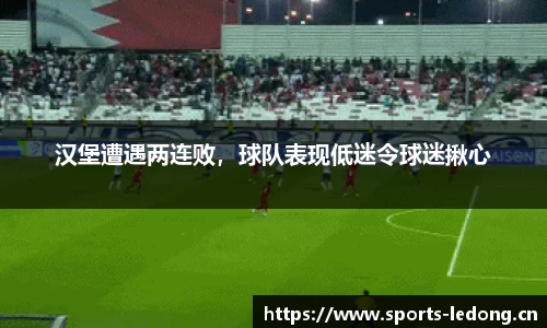 ld乐动体育