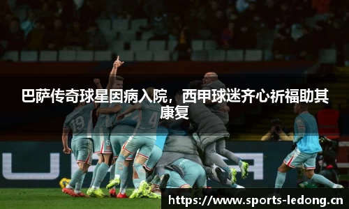 ld乐动体育官网