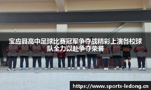 宝应县高中足球比赛冠军争夺战精彩上演各校球队全力以赴争夺荣誉