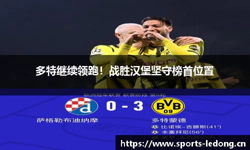 ld乐动体育