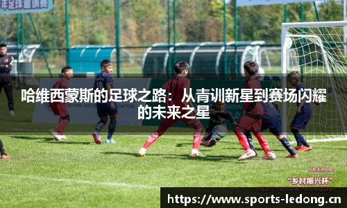 ld乐动体育官网