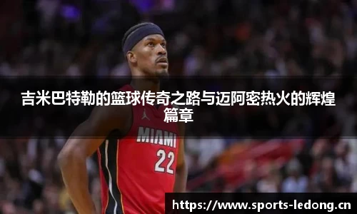 ld乐动体育平台
