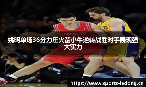 姚明单场36分力压火箭小牛逆转战胜对手展现强大实力